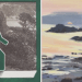 Local postcard auction to raise funds for Guernsey Arts