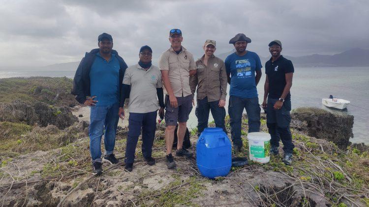 Threatened geckos returned to the wild five years after being rescued from oil spill in Mauritius