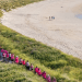 Pink Ladies Sunset Walk 2025 raises over £25,000 for islanders affected by breast cancer