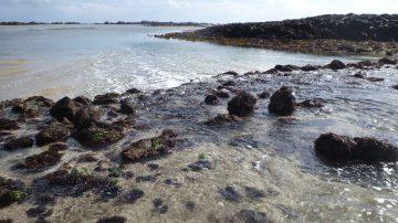 Grant approved for scientific research project in Ramsar site