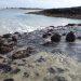 Grant approved for scientific research project in Ramsar site