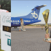 Blue Islands opens applications for next round of flight funding
