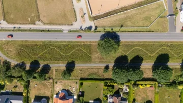Public backs biodiversity vision for Fort Field