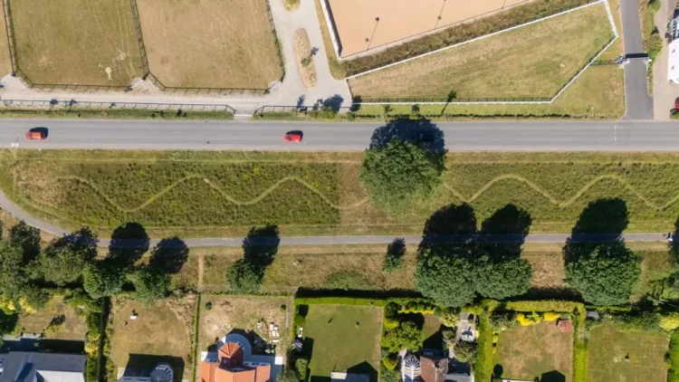 Public backs biodiversity vision for Fort Field