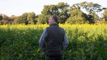 Jersey’s cover crops show their true colours in 2025 competition