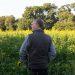 Jersey’s cover crops show their true colours in 2025 competition