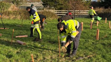 Guernsey Electricity plants 125 trees to celebrate 125th anniversary