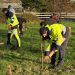 Guernsey Electricity plants 125 trees to celebrate 125th anniversary