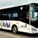 Liberty Bus