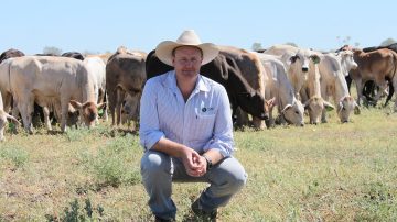 Guernsey’s dairy industry is ‘world leader’ in innovation says visiting expert