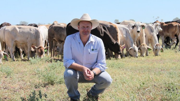 Guernsey’s dairy industry is ‘world leader’ in innovation says visiting expert