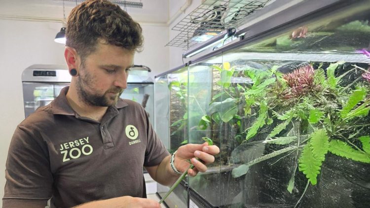 Durrell welcomes new Curator of Herpetology and Invertebrates