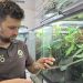 Durrell welcomes new Curator of Herpetology and Invertebrates