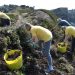 Environmental projects awarded funding from Strategy for Nature Fund