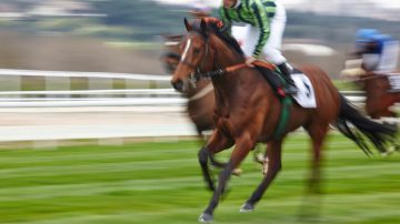 New book explores nearly 200 years of Channel Islands horseracing