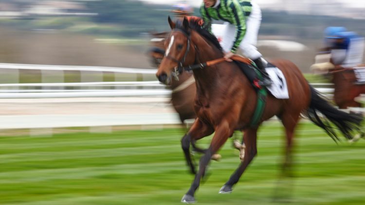 New book explores nearly 200 years of Channel Islands horseracing