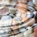 Beach shells sea Interesting news