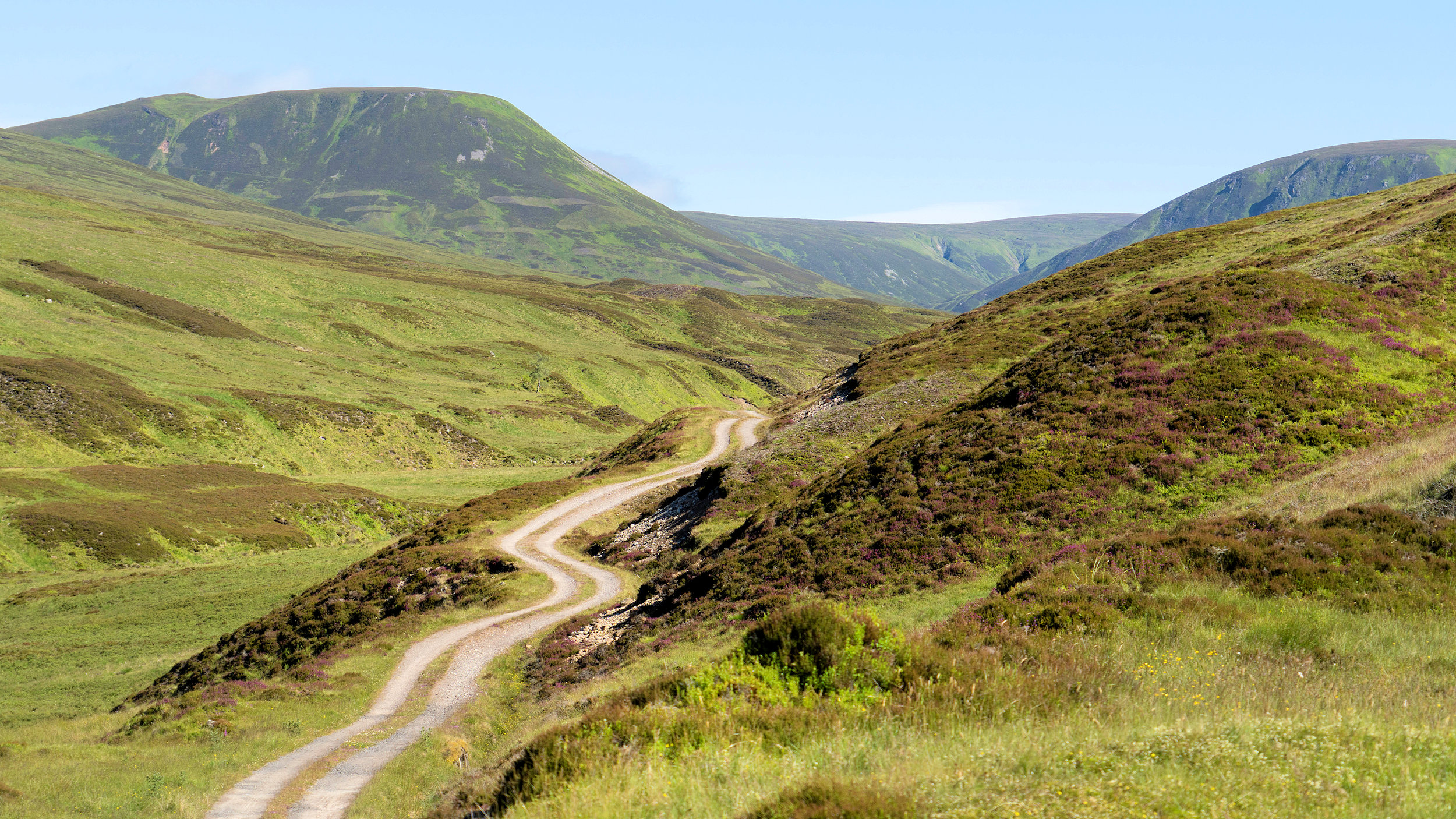 Dalnacardoch