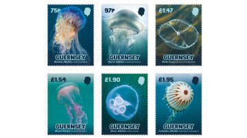 Guernsey Post dives into Bailiwick waters with jellyfish stamps