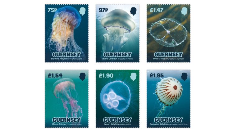 Guernsey Post dives into Bailiwick waters with jellyfish stamps