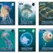 Guernsey Post dives into Bailiwick waters with jellyfish stamps