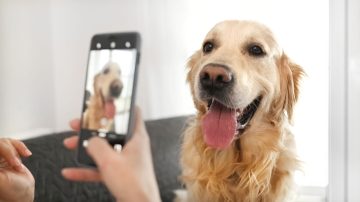 JSPCA launches inaugural Favourite Animal Moments photo competition