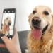 JSPCA launches inaugural Favourite Animal Moments photo competition