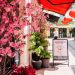 Floral displays return for St Helier Town Takeover