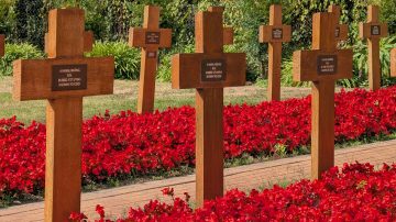 New book tells tragic story behind Jersey’s wartime graves