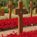 New book tells tragic story behind Jersey’s wartime graves