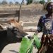 Jersey takes centre stage at international dairy conference in Zambia