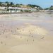 Jersey’s Intertidal race wins Racecheck Gold after debut year